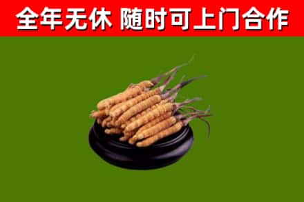 芦溪烟酒回收冬虫夏草.jpg